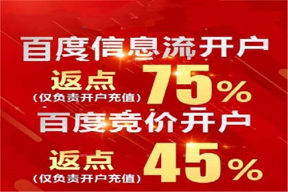 SEM竞价入门指南，经典案例分享